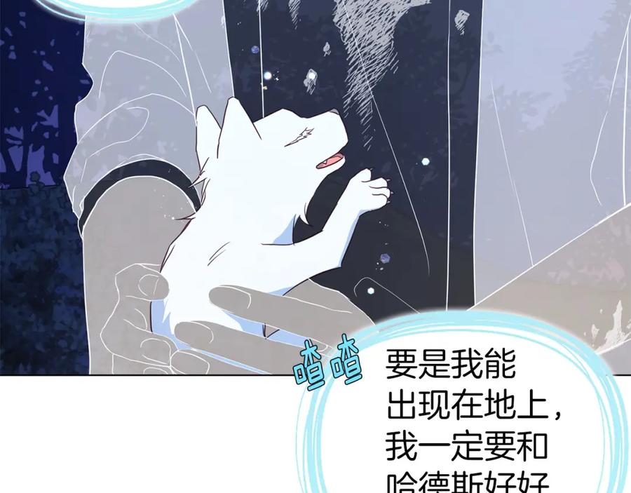 快去搞定铁壁皇帝！ 第121话 召唤的媒介 第156页
