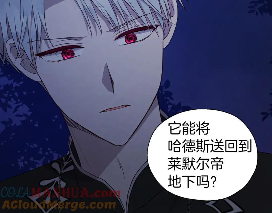 快去搞定铁壁皇帝！ 第121话 召唤的媒介 第165页