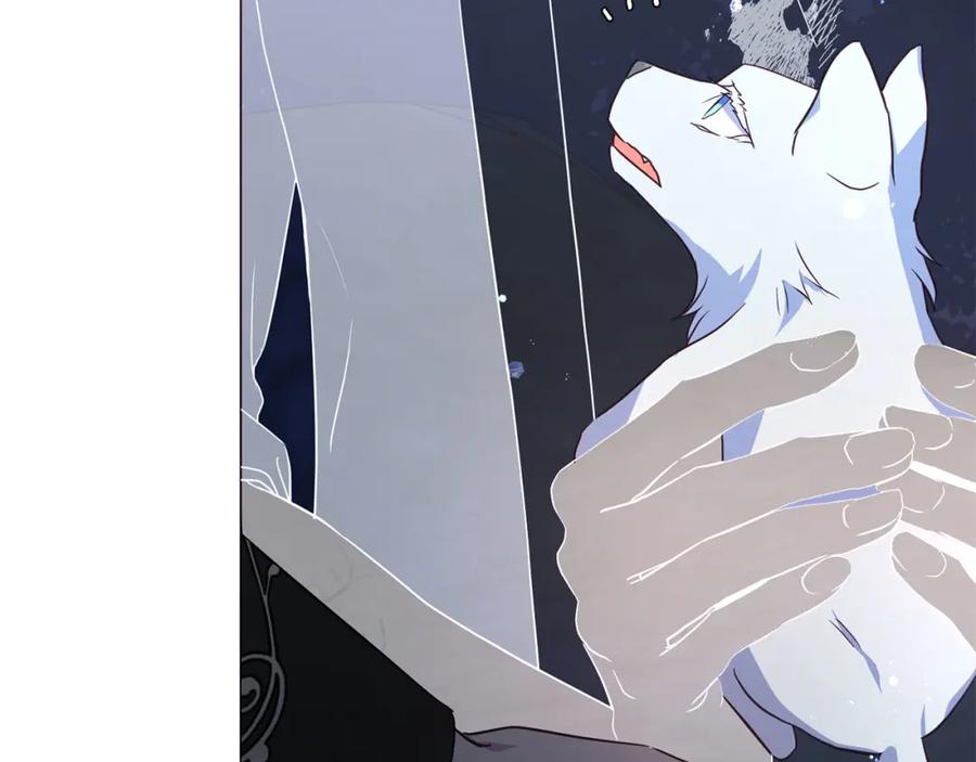 快去搞定铁壁皇帝！ 第122话 选择权 第6页