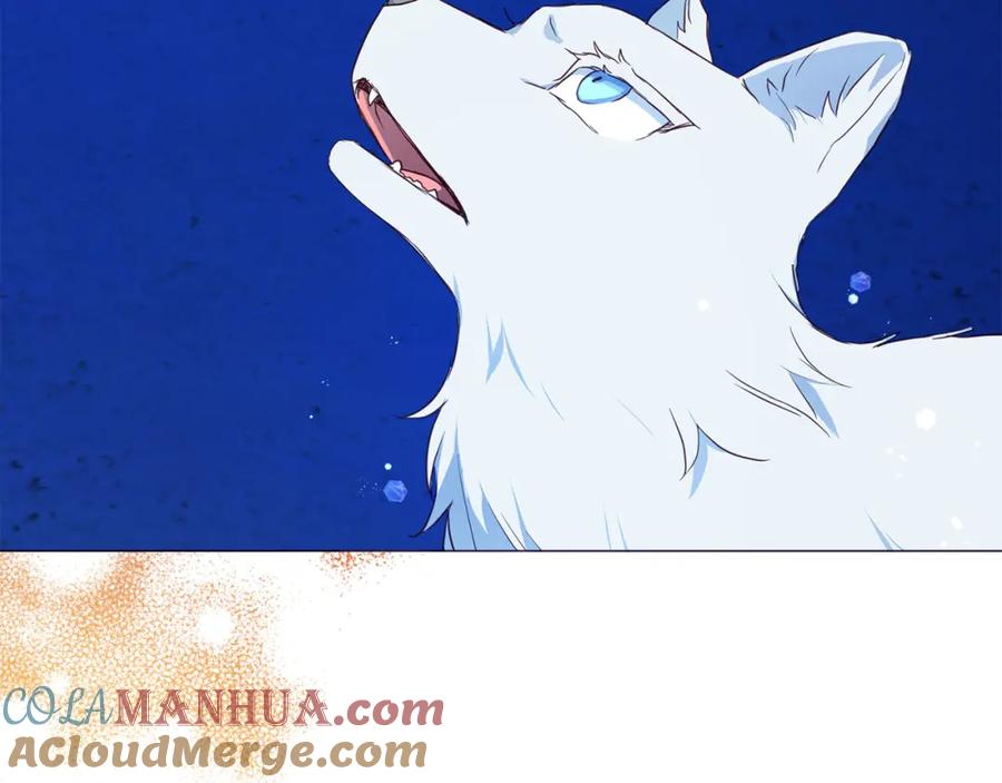 快去搞定铁壁皇帝！ 第125话 计划有误？！ 第41页