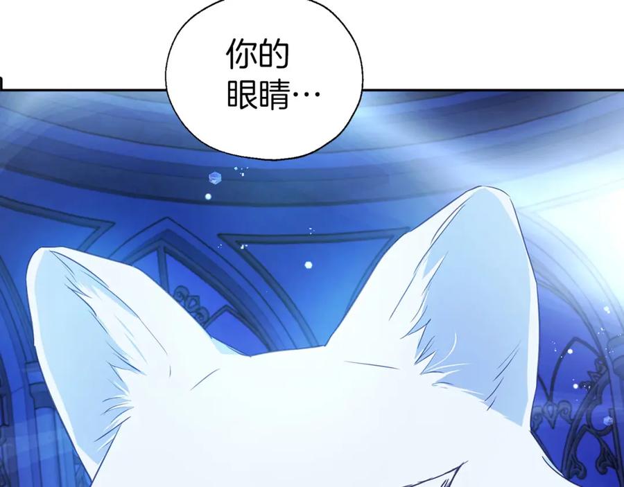 快去搞定铁壁皇帝！ 第126话 反向召唤 第104页