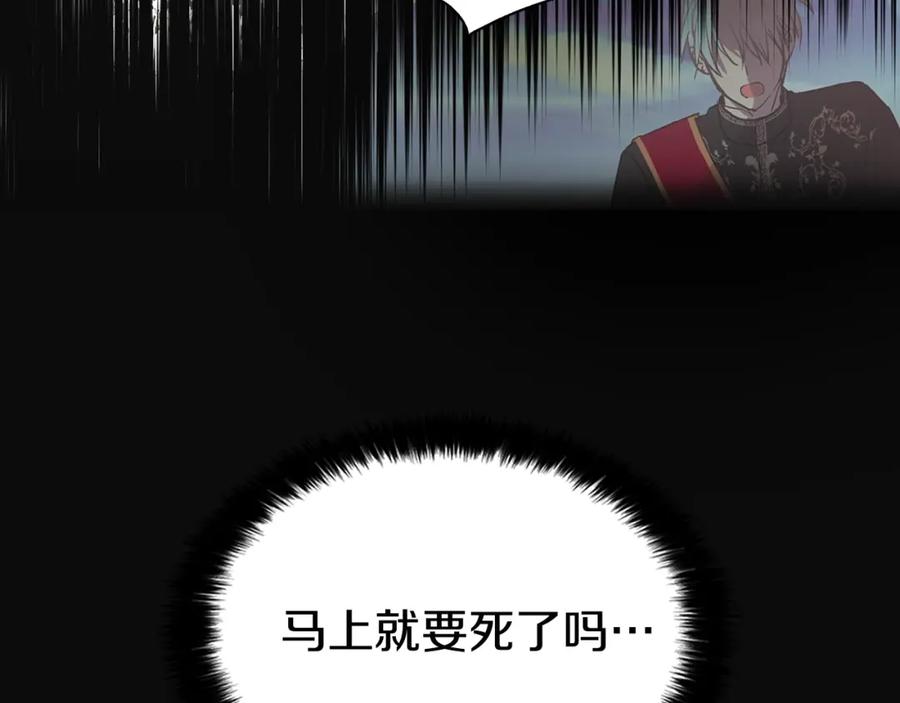 快去搞定铁壁皇帝！ 第11话 恶女出场 第111页