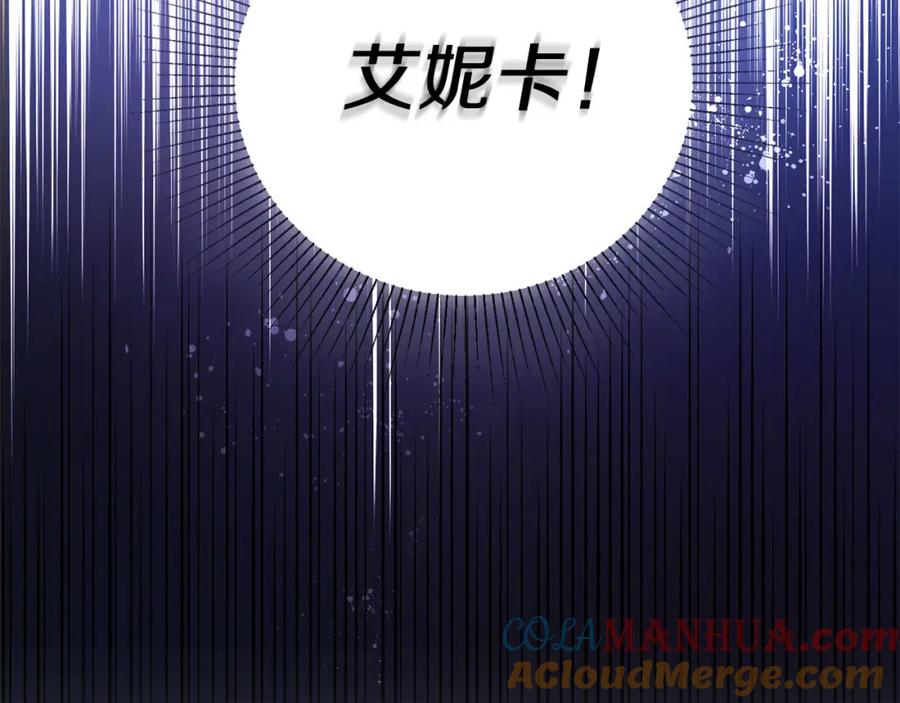 快去搞定铁壁皇帝！ 第127话 幕后真相 第165页