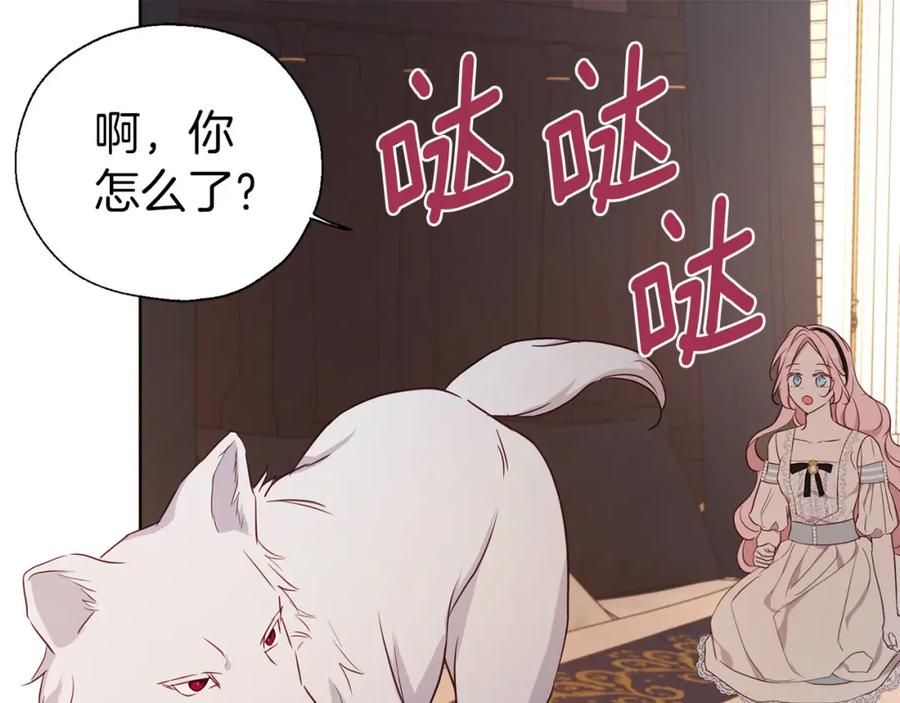 快去搞定铁壁皇帝！ 第135话 过度保护 第130页