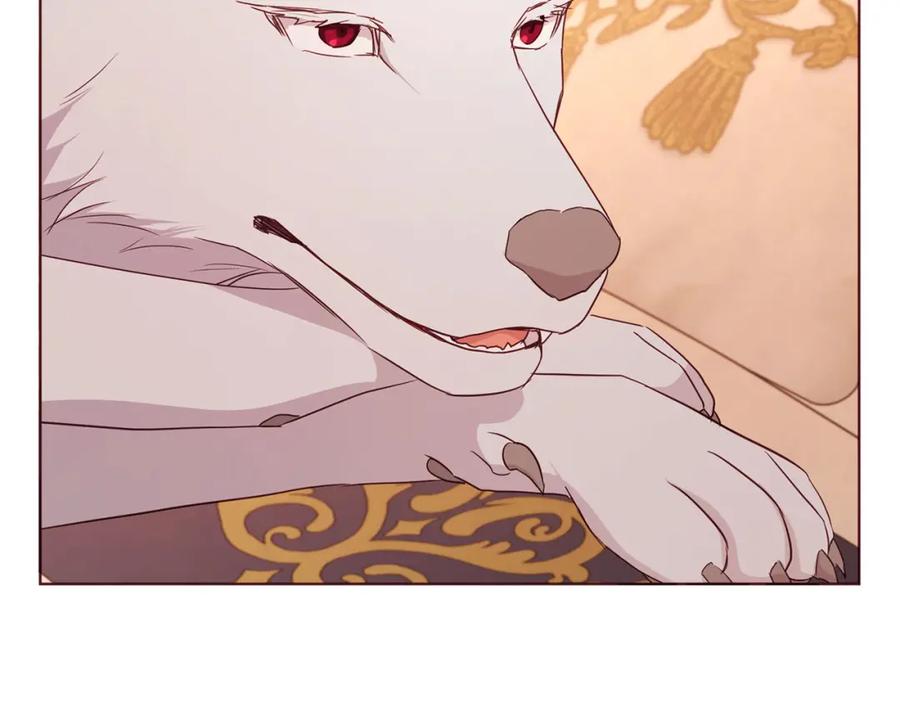 快去搞定铁壁皇帝！ 第135话 过度保护 第91页