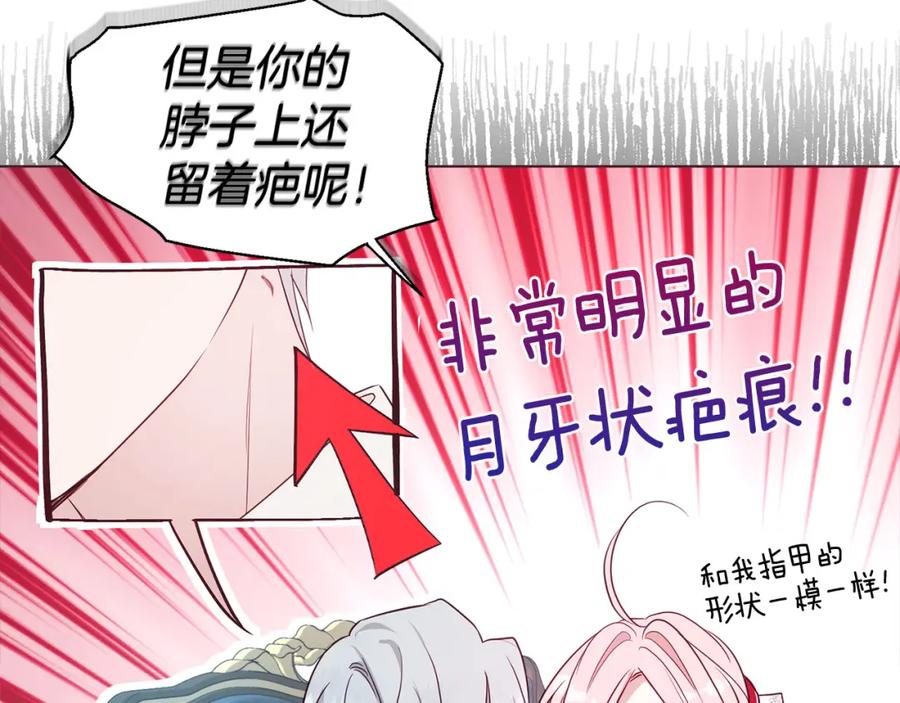 快去搞定铁壁皇帝！ 第137话 可疑的陛下 第15页