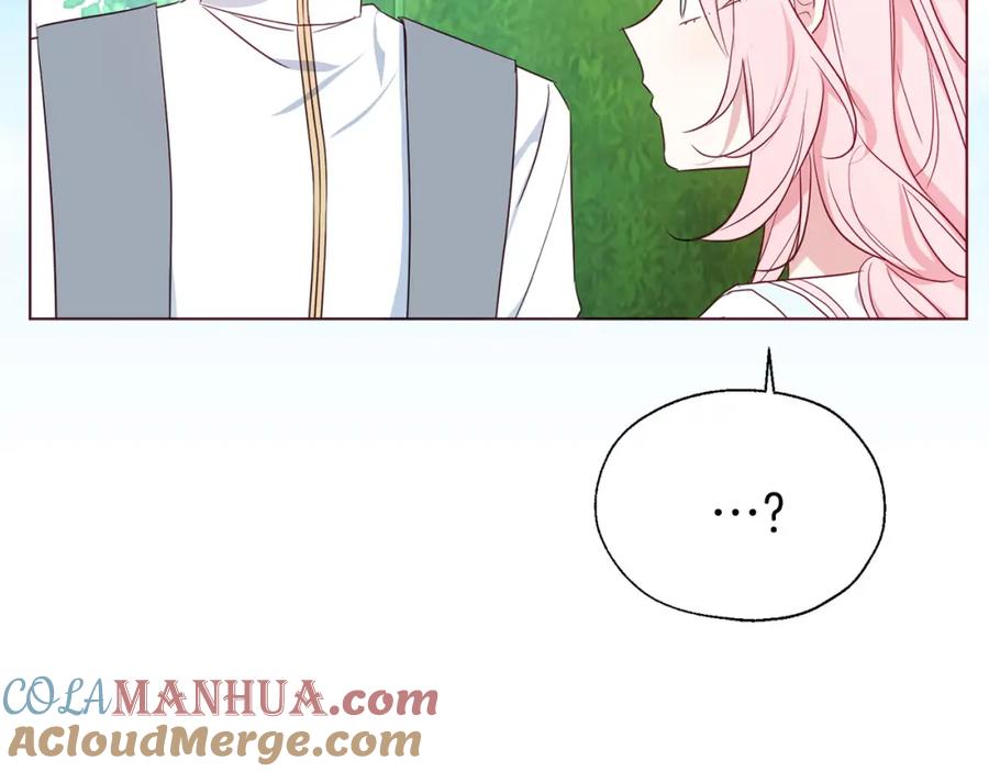 快去搞定铁壁皇帝！ 第137话 可疑的陛下 第121页