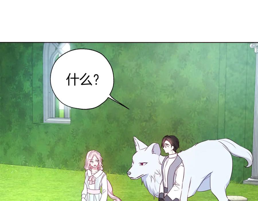 快去搞定铁壁皇帝！ 第137话 可疑的陛下 第80页