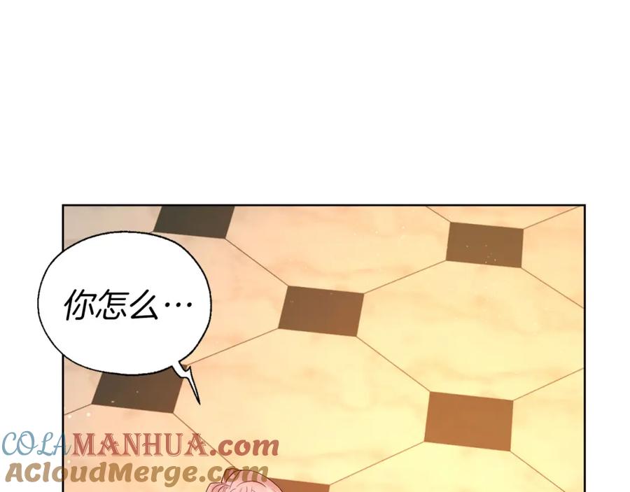 快去搞定铁壁皇帝！ 第139话 求婚 第117页