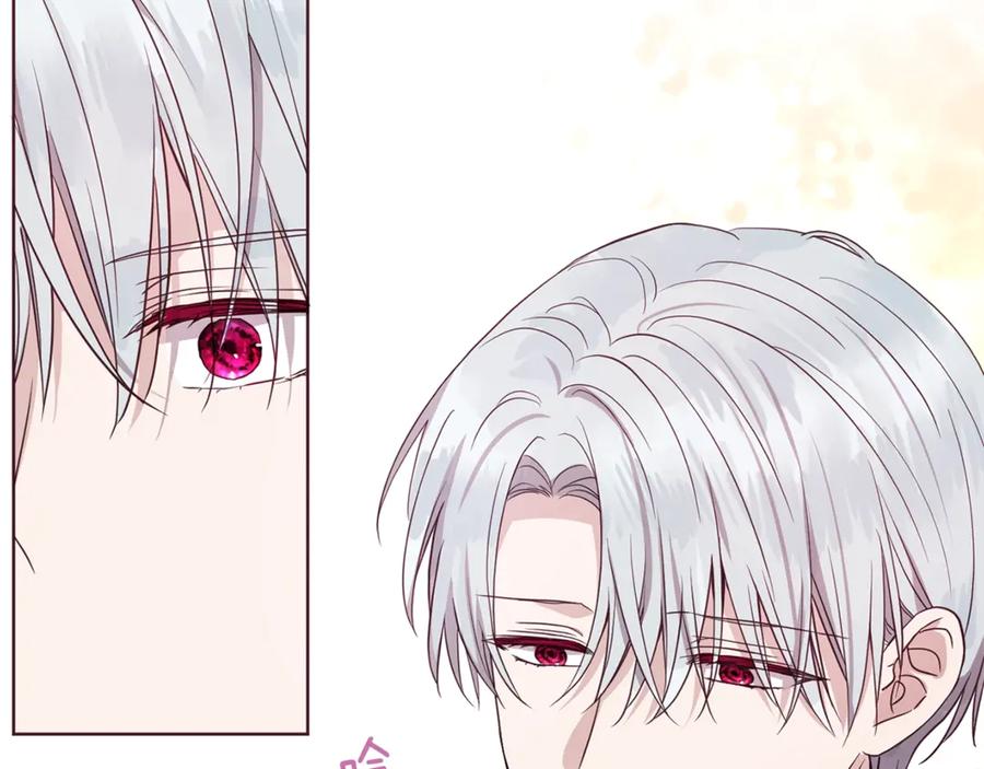 快去搞定铁壁皇帝！ 第48话 第n次表白 第87页