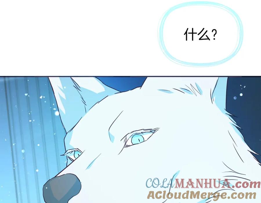 快去搞定铁壁皇帝！ 第72话 需要 第117页