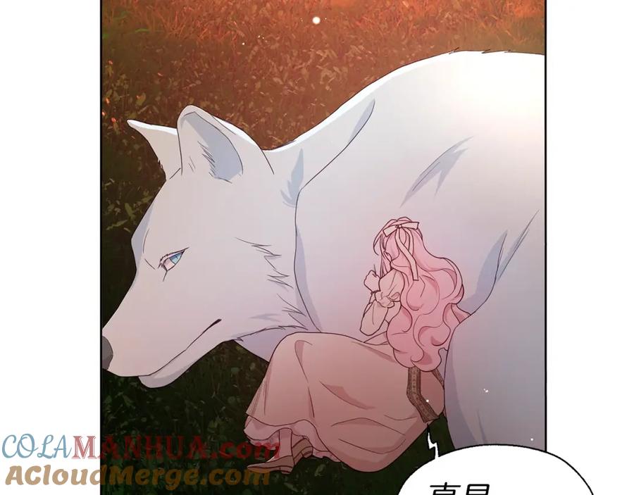 快去搞定铁壁皇帝！ 第83话 爱的召唤 第105页