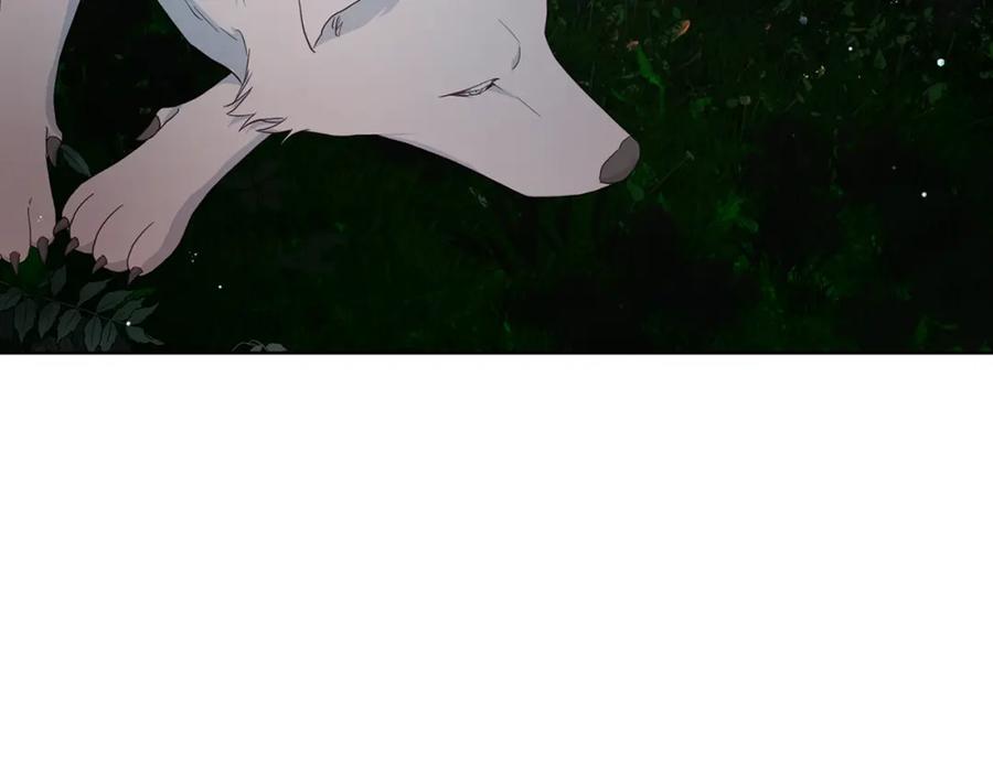 快去搞定铁壁皇帝！ 第83话 爱的召唤 第146页