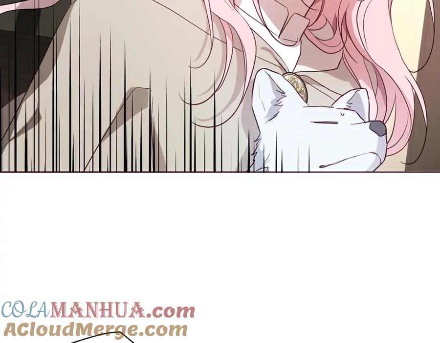快去搞定铁壁皇帝！ 第88话 保护你 第145页