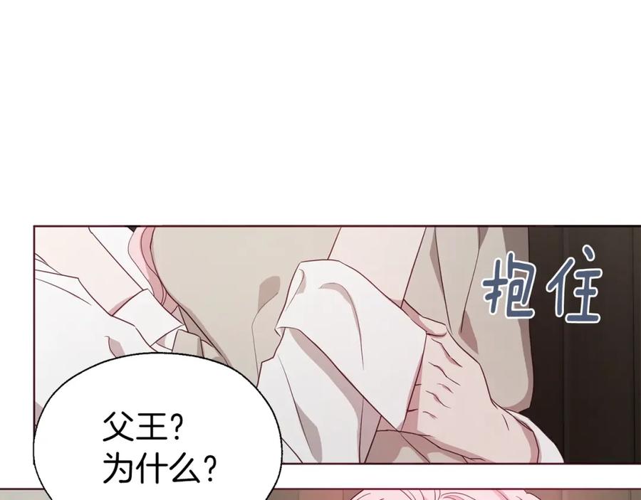 快去搞定铁壁皇帝！ 第88话 保护你 第119页