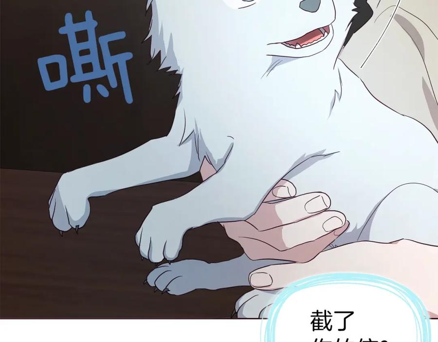 快去搞定铁壁皇帝！ 第88话 保护你 第142页