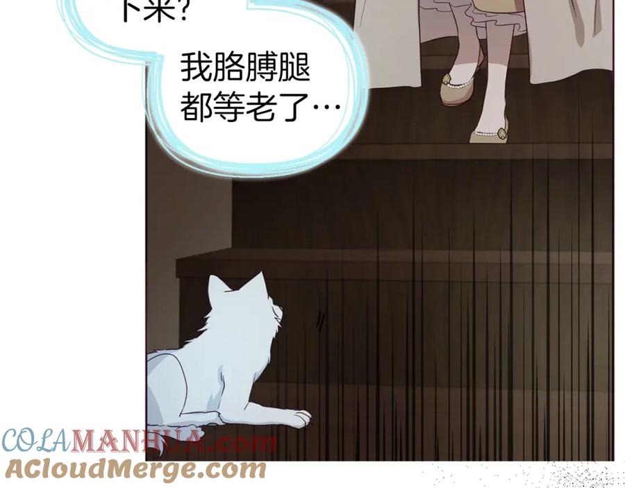 快去搞定铁壁皇帝！ 第88话 保护你 第133页
