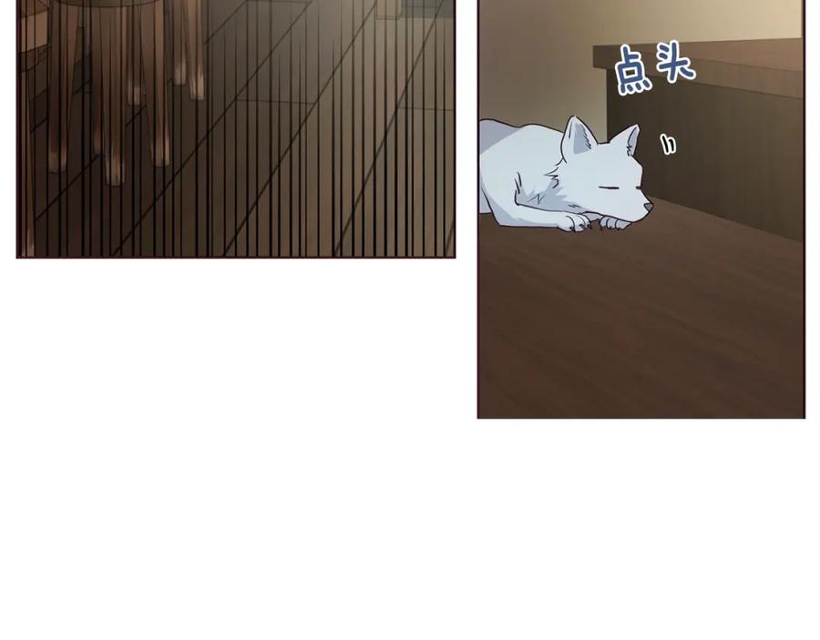 快去搞定铁壁皇帝！ 第88话 保护你 第131页