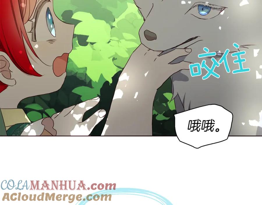 快去搞定铁壁皇帝！ 第95话 蓝色眼眸 第45页