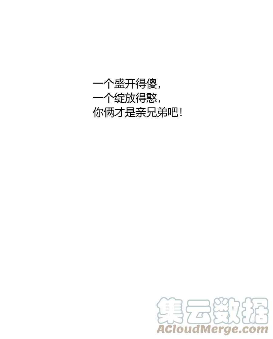 《跨界演员》048 你先和他一拍两散 第49页