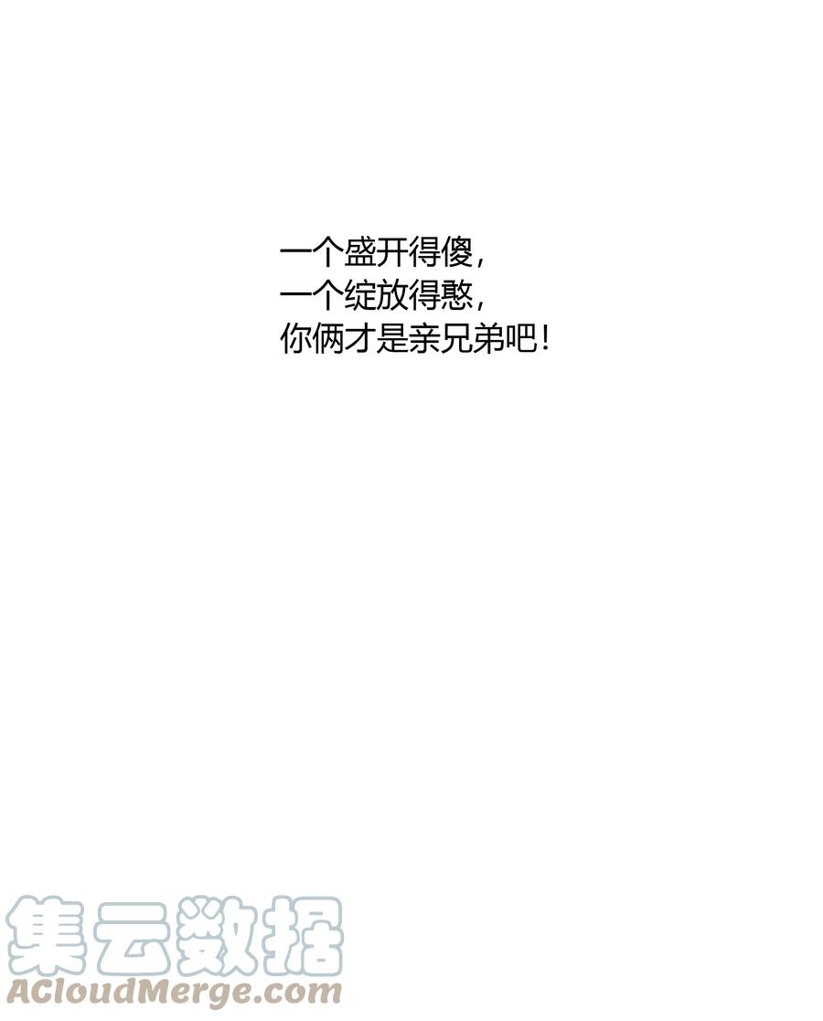 《跨界演员》048 你先和他一拍两散 第43页