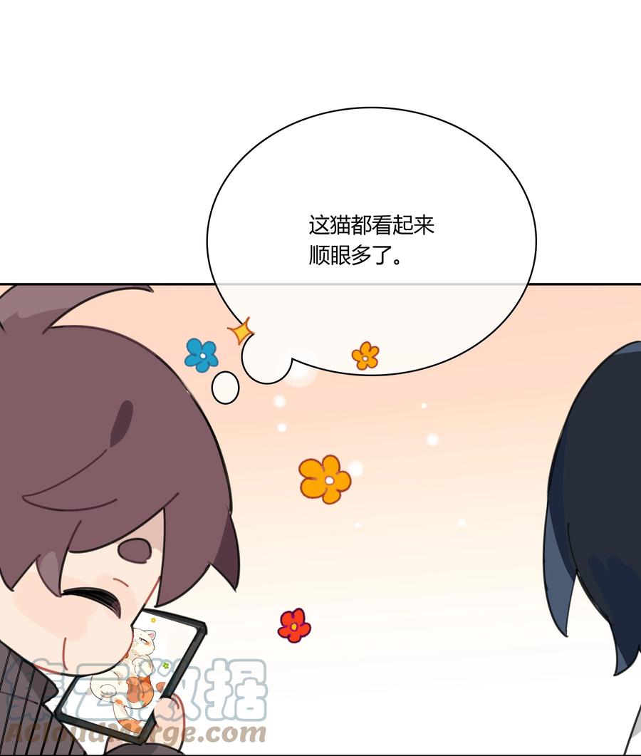 《跨界演员》048 你先和他一拍两散 第19页
