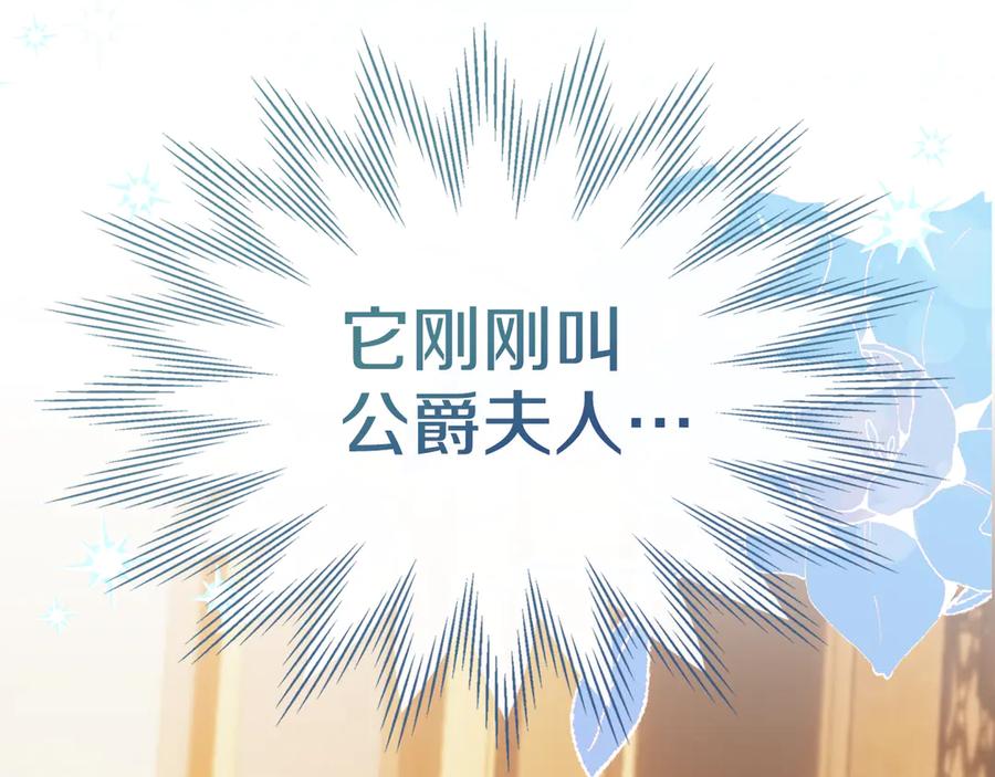 冬城的囚犯小公主 第66话 茜茜 第226页