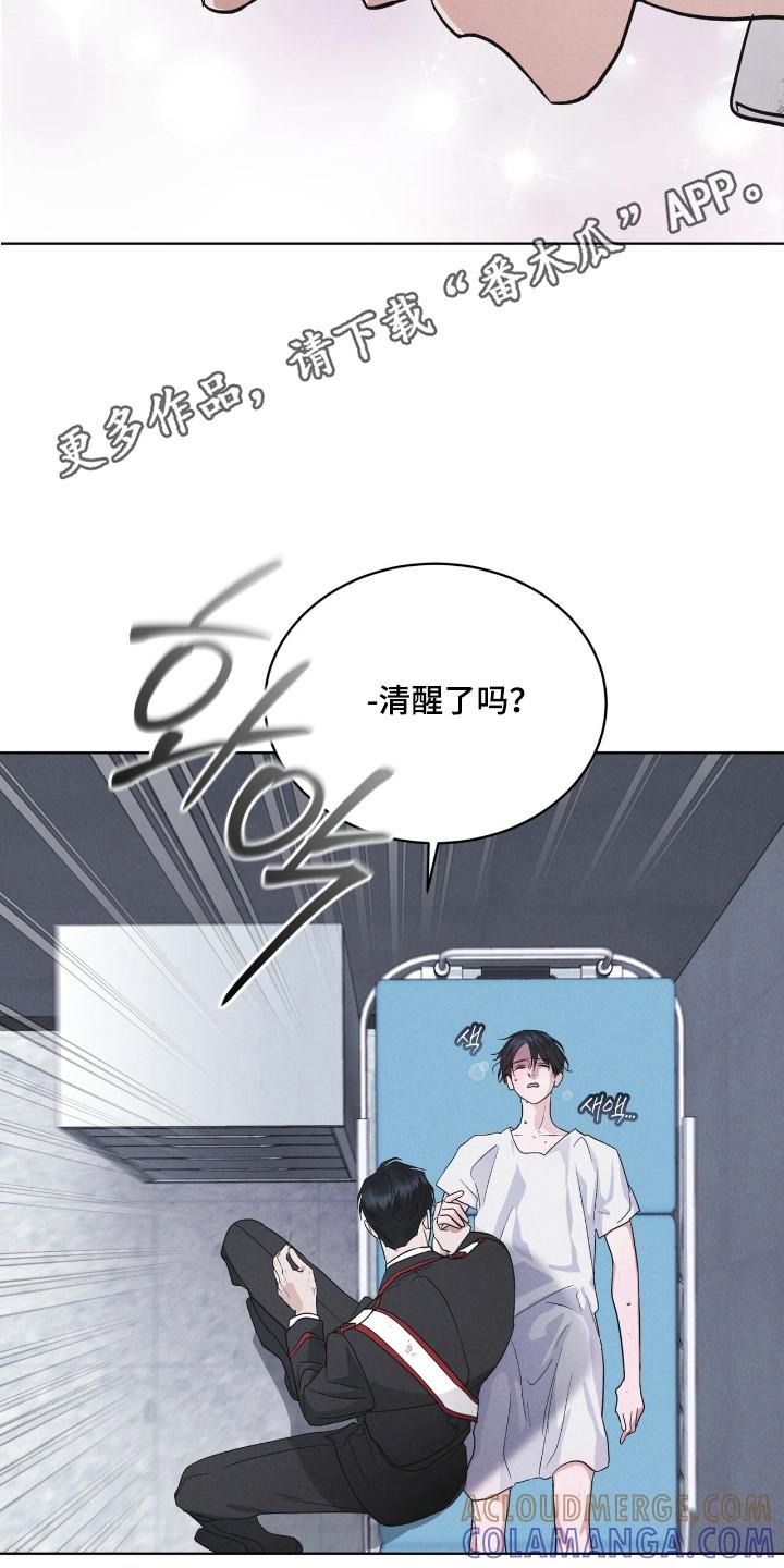 《彩虹城》第136章：【第二季】不想死去（完结） 第15页