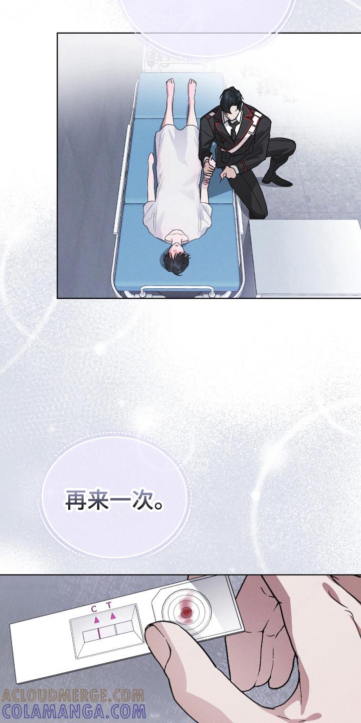 《彩虹城》第136章：【第二季】不想死去（完结） 第11页