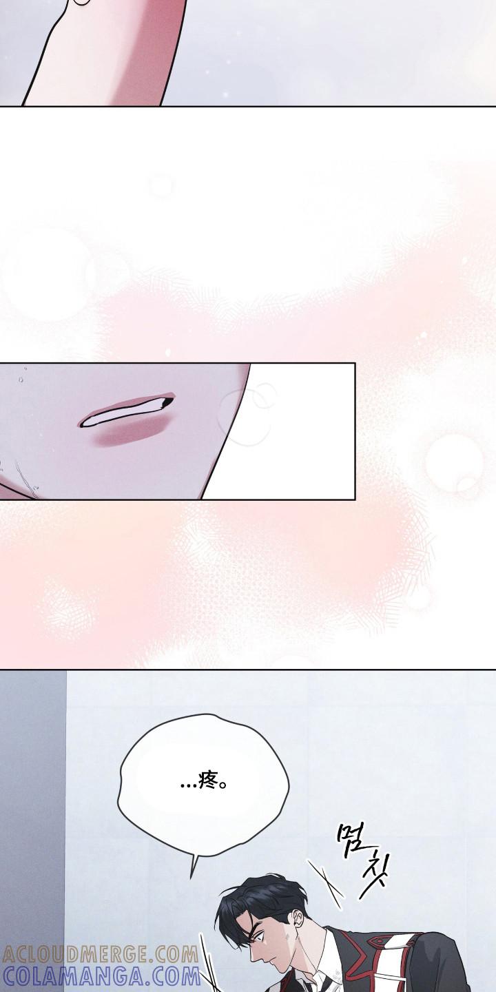 《彩虹城》第136章：【第二季】不想死去（完结） 第13页