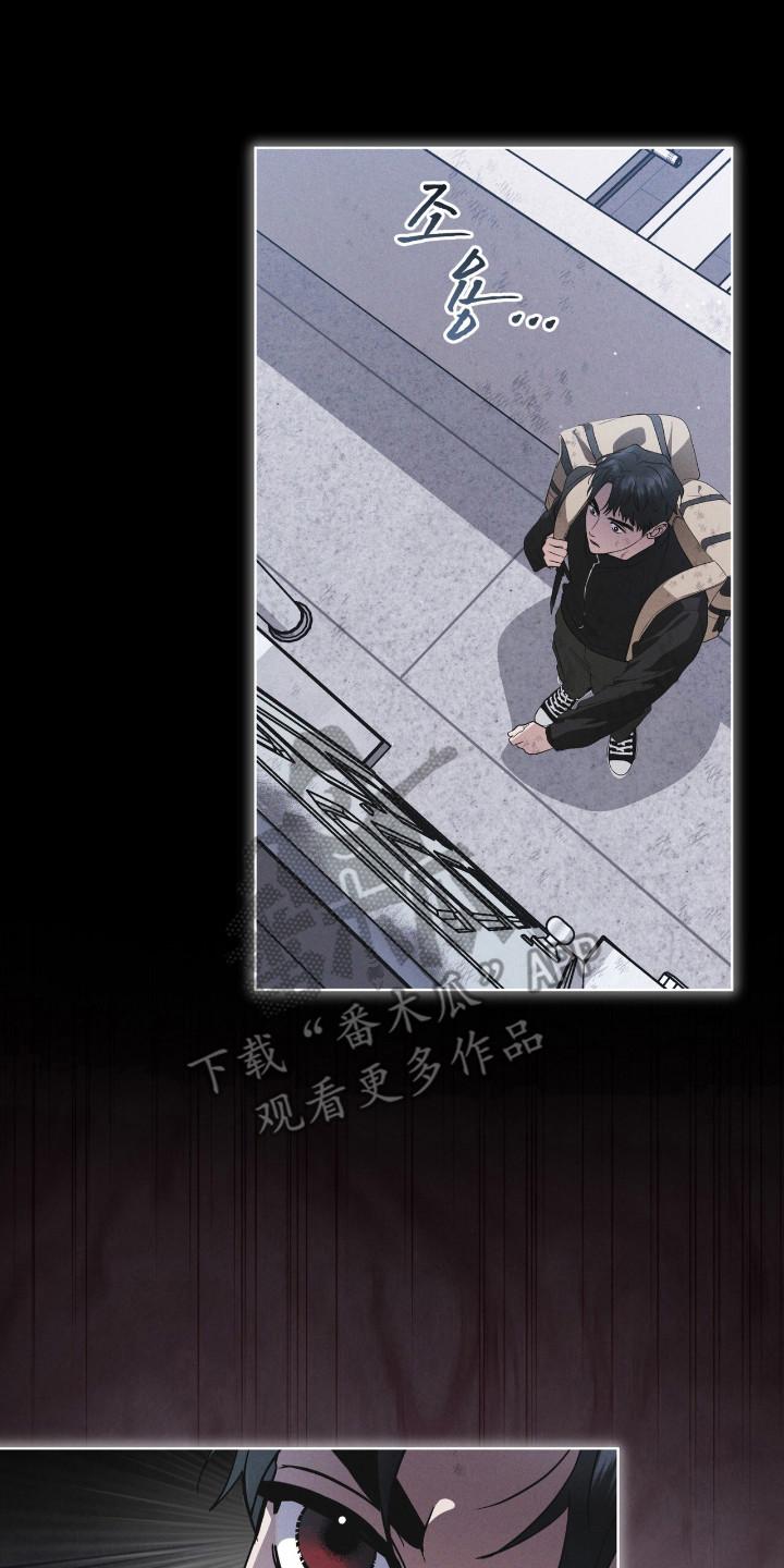《彩虹城》第137章：【第三季】突发情况 第2页