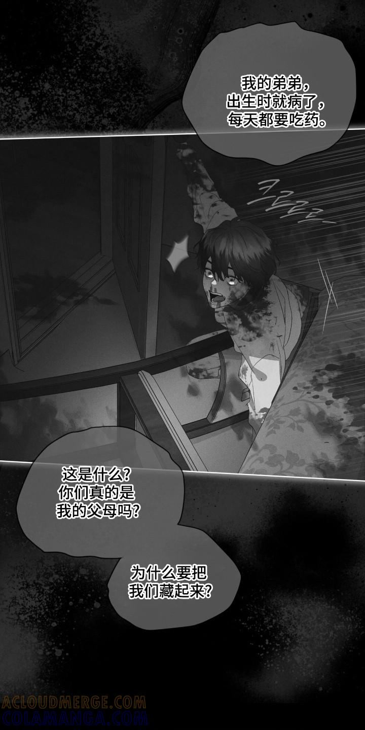 《彩虹城》第138章：【第三季】被戏耍 第17页