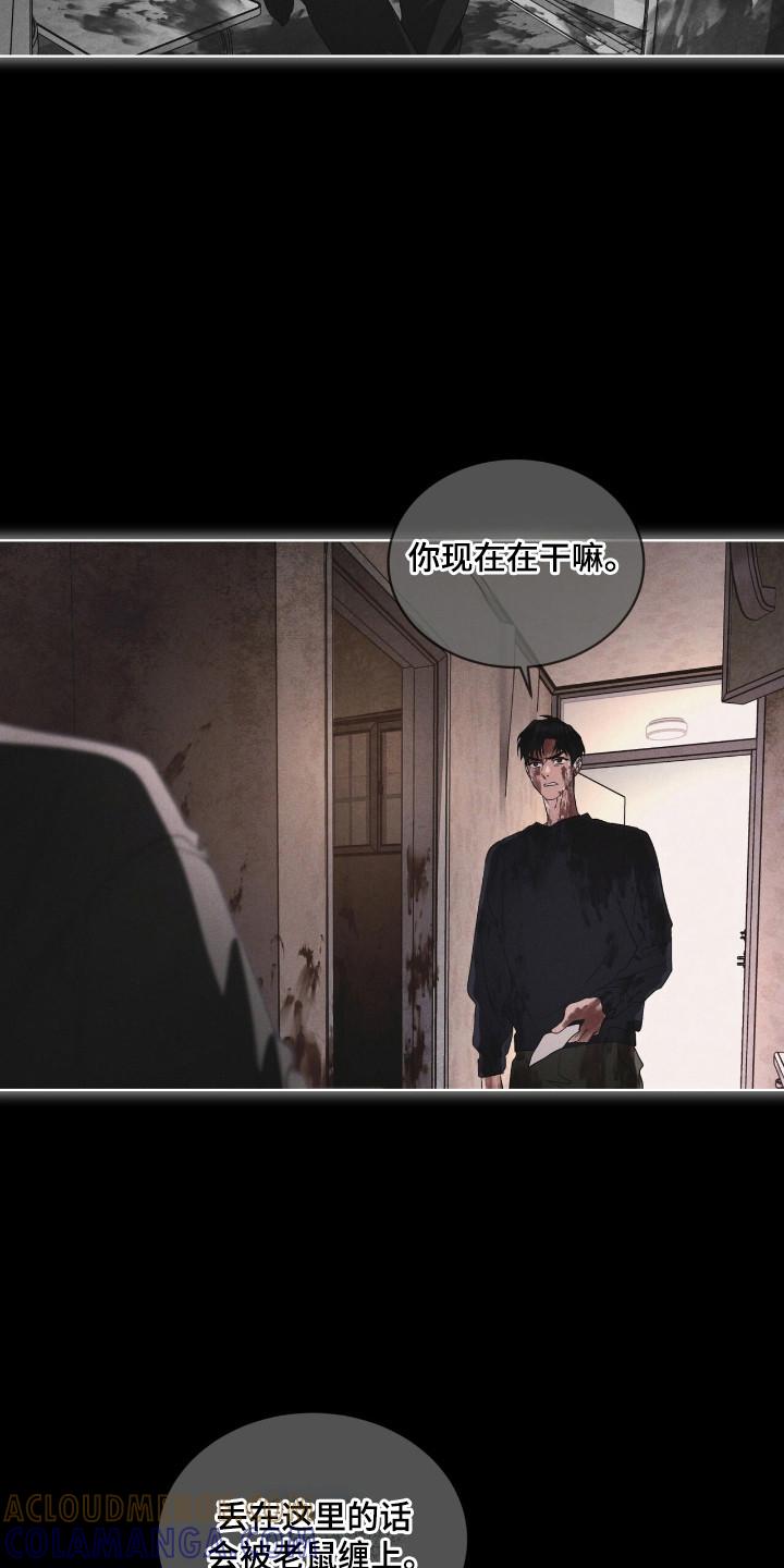 《彩虹城》第140章：【第三季】看到希望 第5页