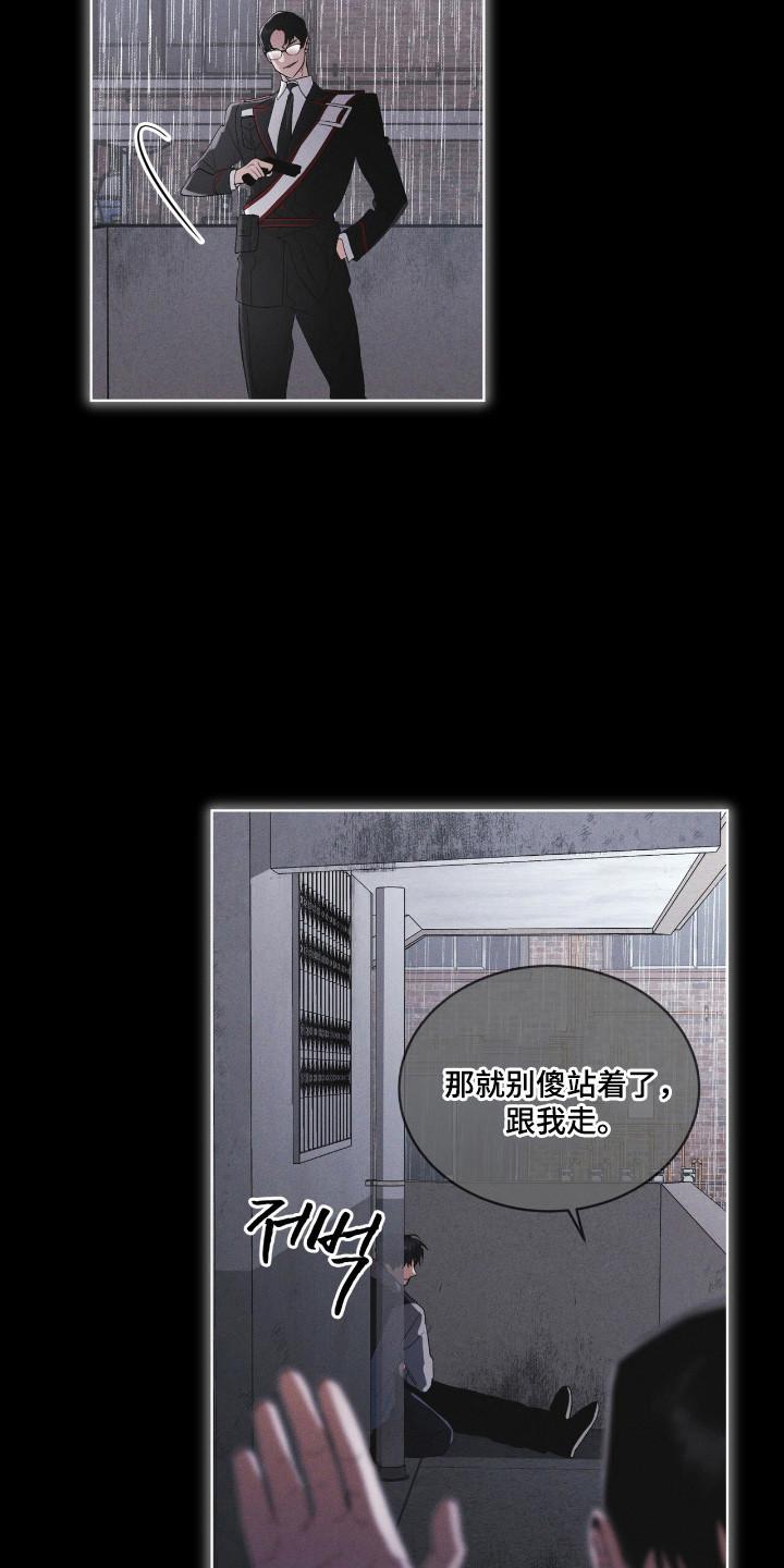 《彩虹城》第142章：【第三季】生与死 第4页