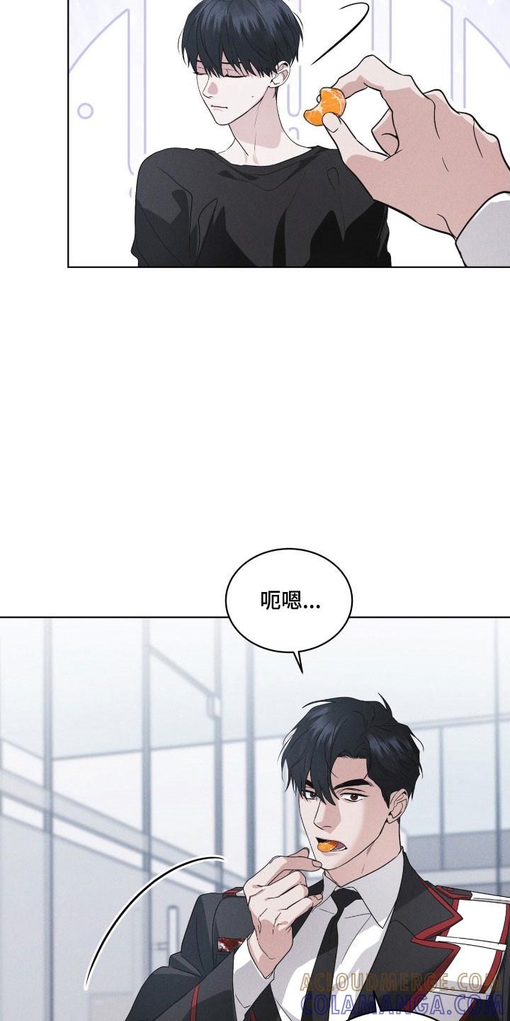 《彩虹城》第147章：【第三季】破坏病毒 第29页