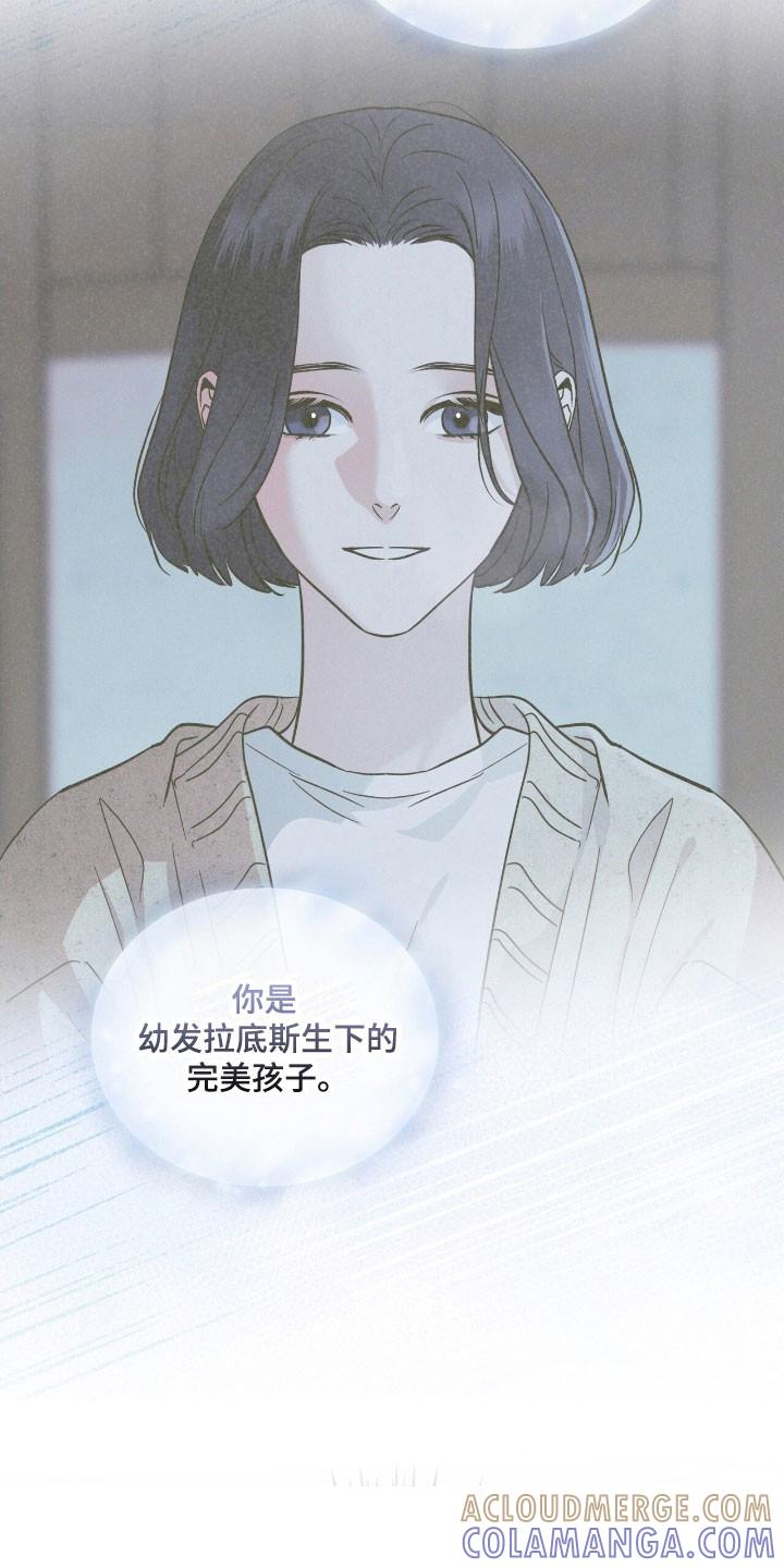 《彩虹城》第147章：【第三季】破坏病毒 第13页