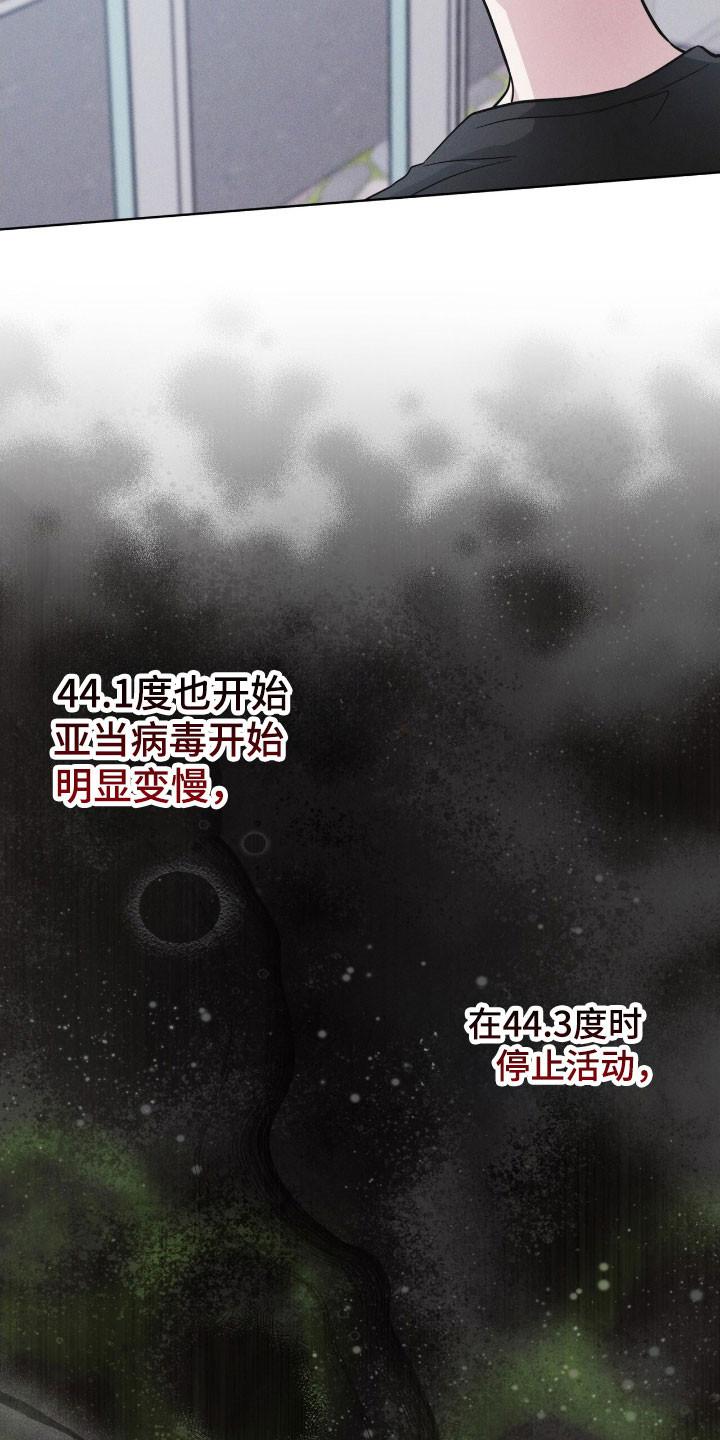 《彩虹城》第147章：【第三季】破坏病毒 第4页
