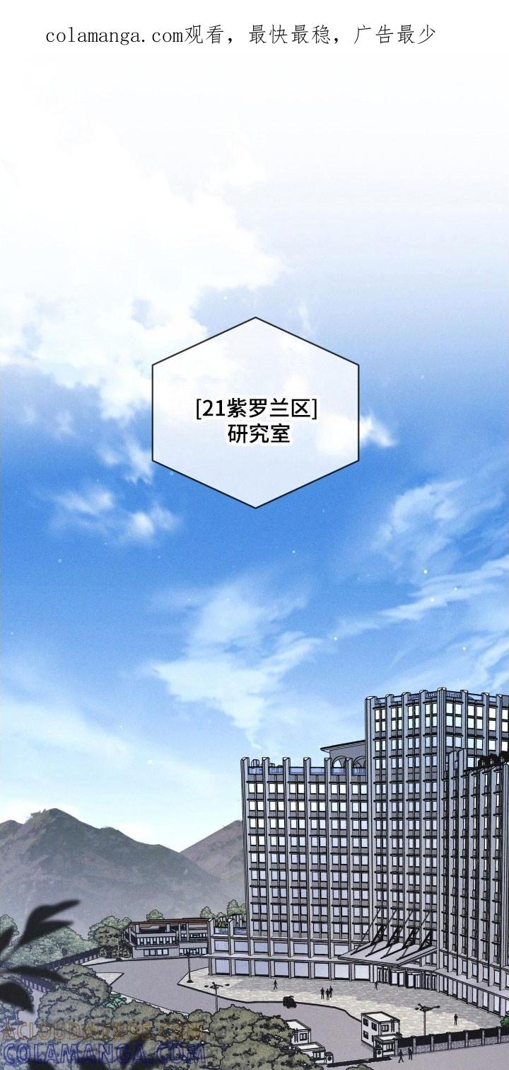 《彩虹城》第147章：【第三季】破坏病毒 第1页