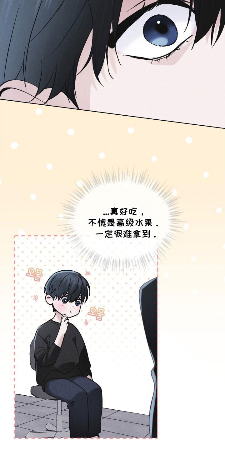 《彩虹城》第147章：【第三季】破坏病毒 第26页