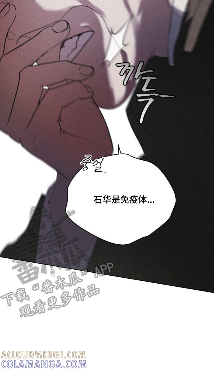 《彩虹城》第148章：【第三季】加以阻止 第15页