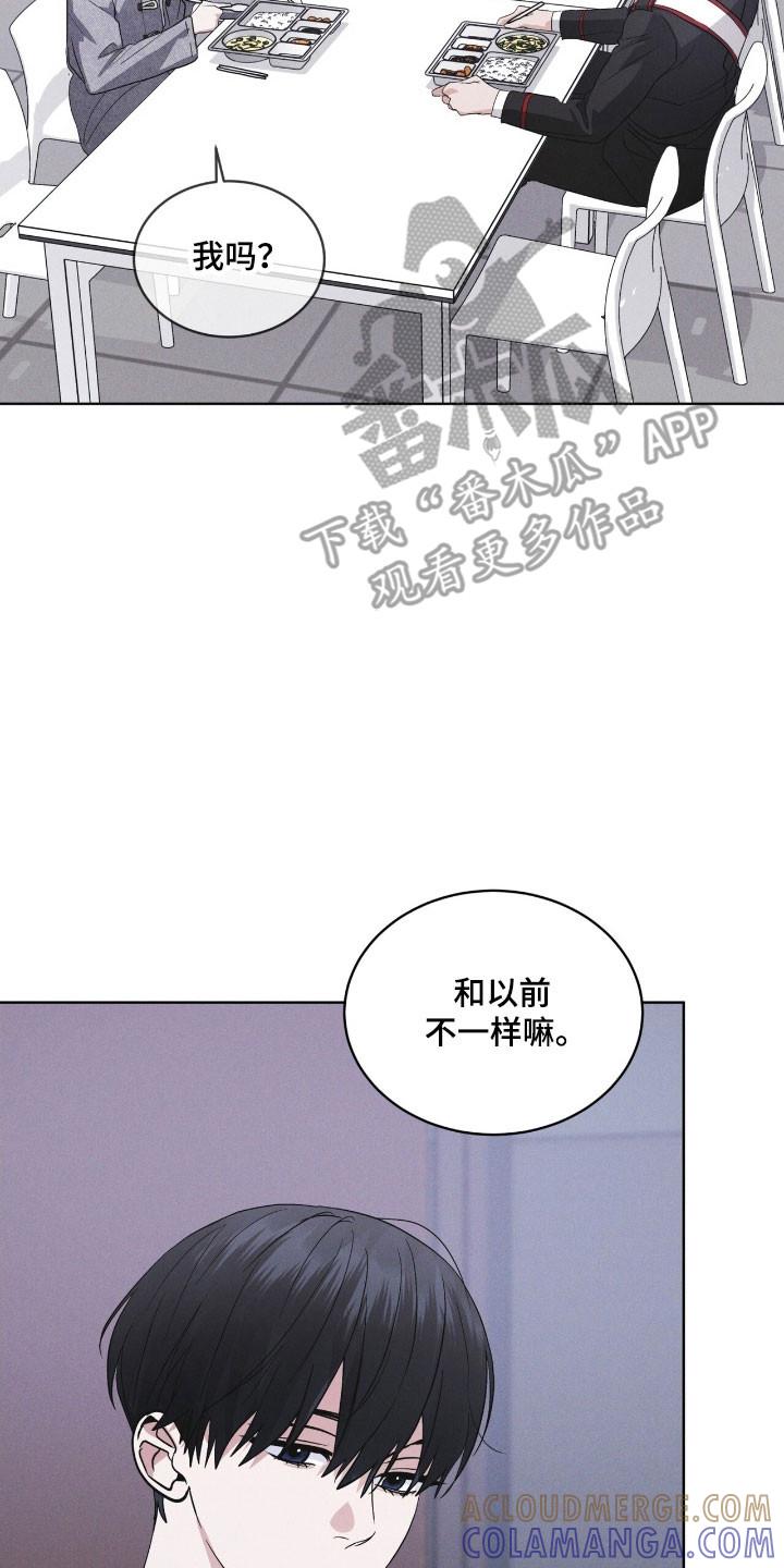 《彩虹城》第149章：【第三季】其他福利 第7页