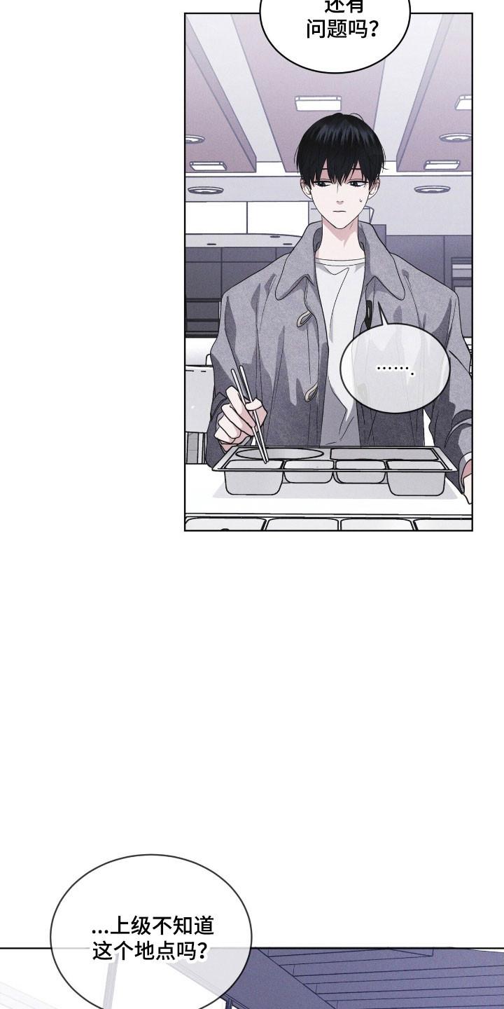 《彩虹城》第149章：【第三季】其他福利 第20页