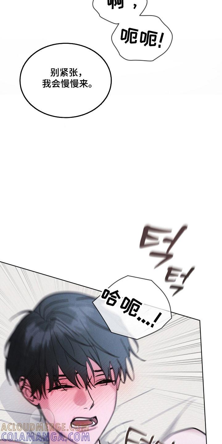 《彩虹城》第153章：【第三季】不简单算计 第13页