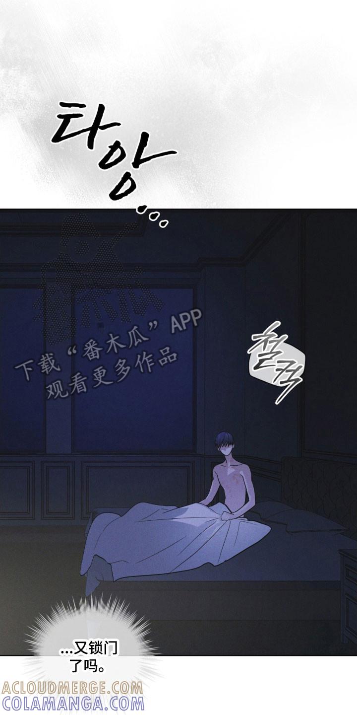 《彩虹城》第155章：【第三季】限制人身 第15页