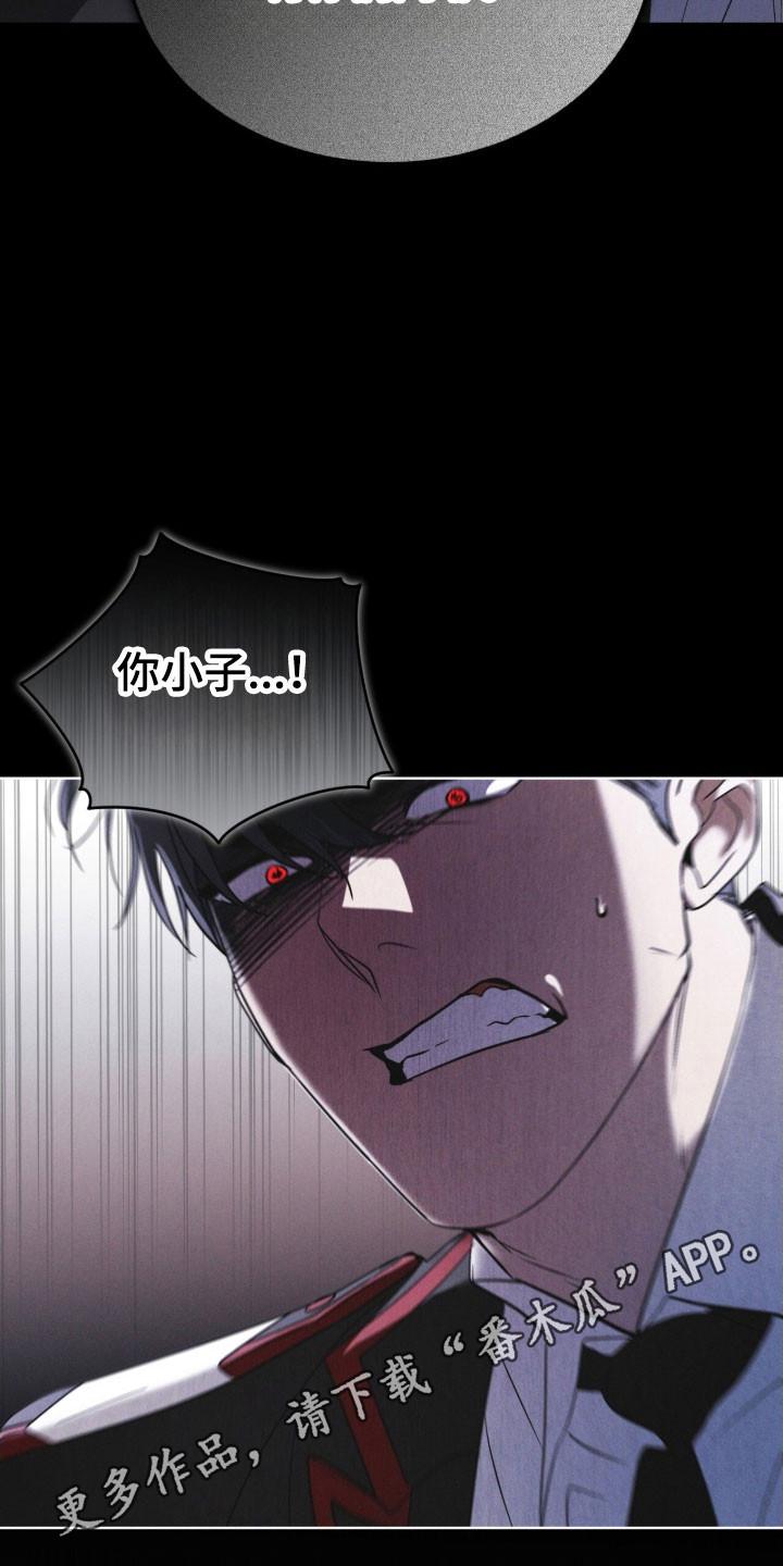 《彩虹城》第157章：【第三季】生命之树 第26页