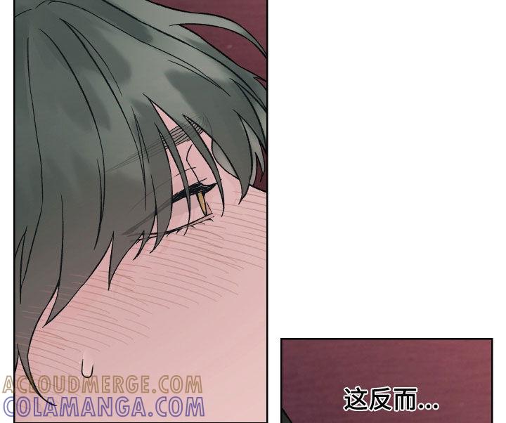《狂夜追凶》第33章：不错的主意 第13页