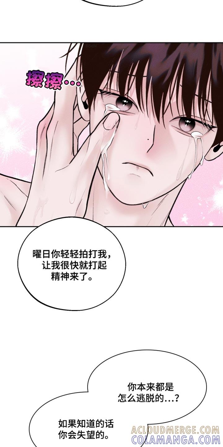 《我的救世主》第46章：所有的一切 第52页