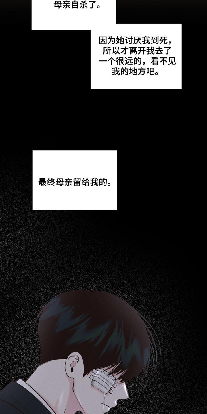 《我的救世主》第46章：所有的一切 第44页