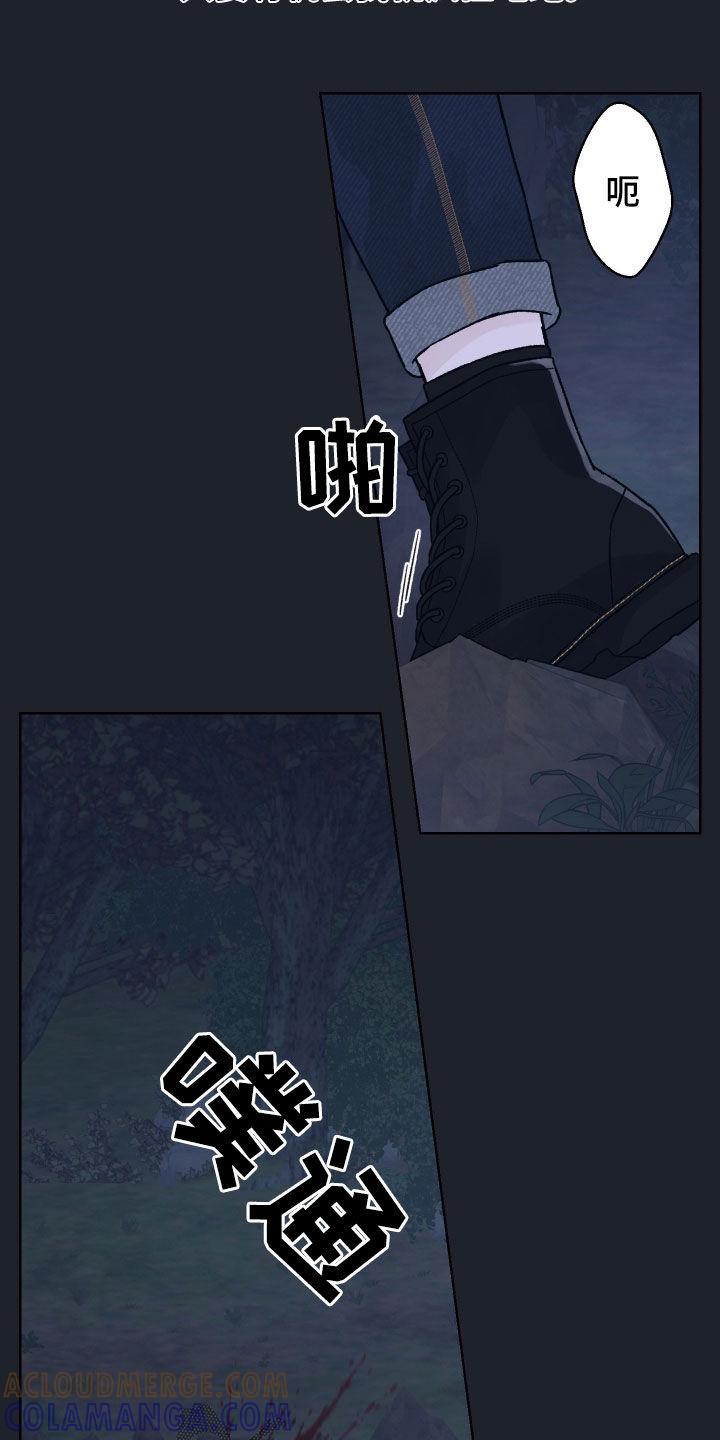 《狂夜追凶》第52章：分歧 第15页