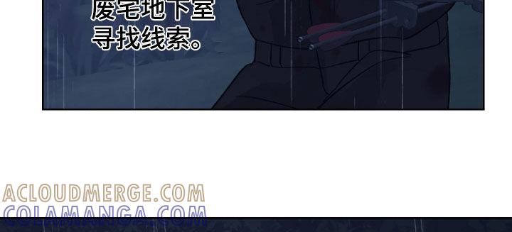 《狂夜追凶》第54章：殿后 第17页